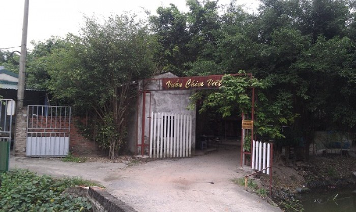 san chim cong hang chuc trieu dong lam qua bieu tet