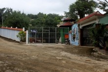 biet phu cua dai gia vang van yen vi