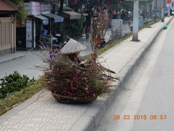 Những gương mặt buồn ngày Tết
