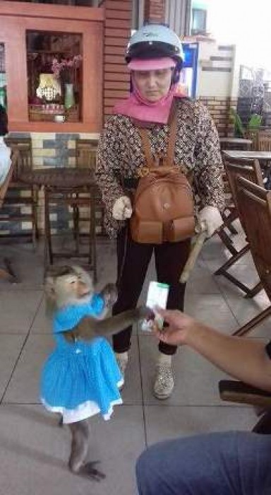 chu khi lau linh ban hang tram ve so moi ngay o can tho