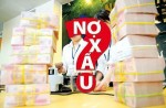 VAMC được phát hành trái phiếu để mua nợ xấu