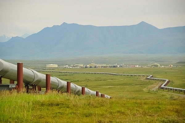 nhu cau tang cong ty dieu hanh duong ong alaska noi long cat giam san xuat