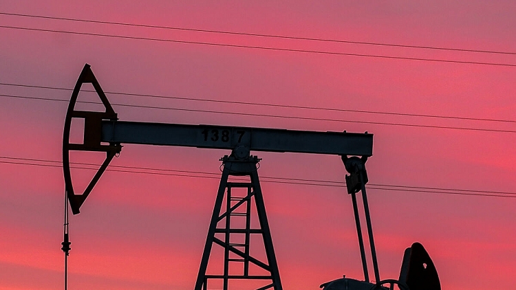 muc gia 30 usd khong du cho nganh dau da phien my