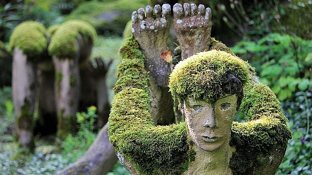 Khu rừng ma mị khiến ai bước vào cũng rợn tóc gáy khu rung ma mi khien ai buoc vao cung ron toc gay