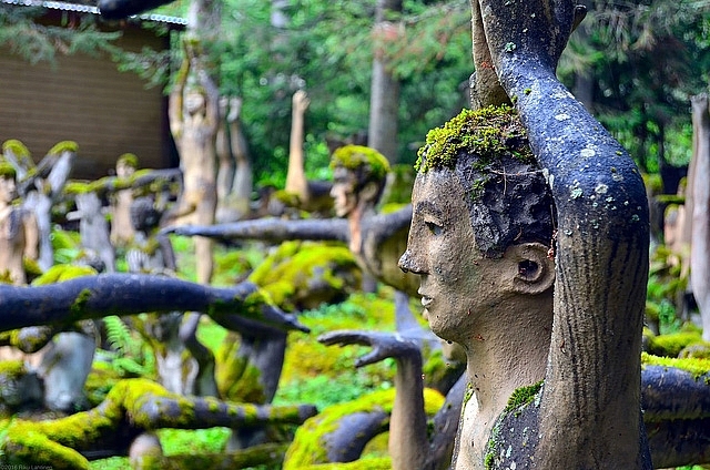 Khu rừng ma mị khiến ai bước vào cũng rợn tóc gáy khu rung ma mi khien ai buoc vao cung ron toc gay