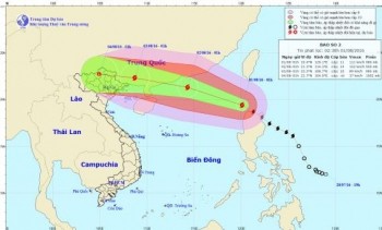 Bão Nida vào Biển Đông, gió giật cấp 17