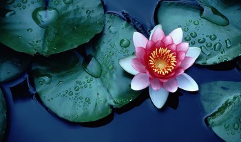 Muốn thành công thì cần phải biết ‘nghĩ cho người khác trước’