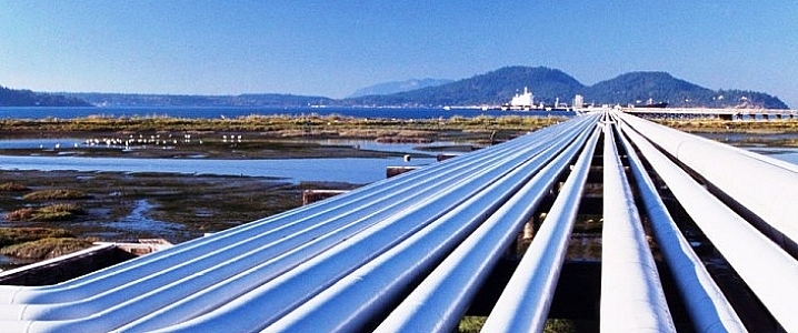 nga tang san luong khai thac va xuat khau dau