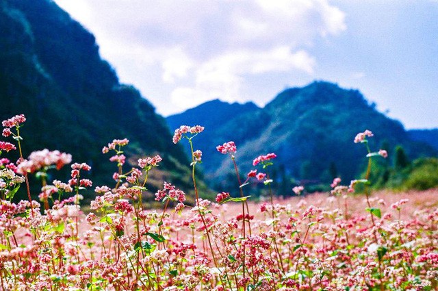 Những điểm đến lý tưởng cho mùa Thu nhung diem den ly tuong cho mua thu