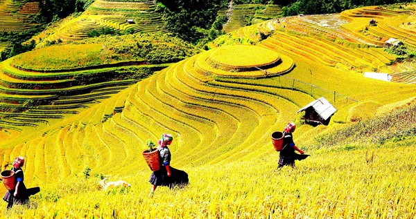Những điểm đến lý tưởng cho mùa Thu nhung diem den ly tuong cho mua thu