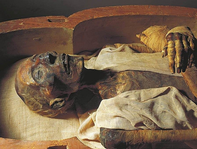 nhung bi mat ve xac uop pharaoh duy nhat duoc cap ho chieu du lich sang phap