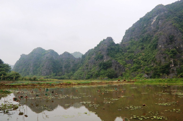 ngoi den tram nam tuoi tho vuong trieu tran linh thieng o co do hoa lu