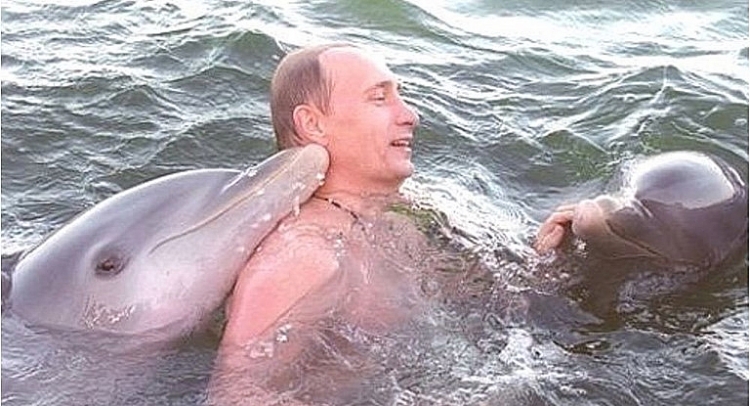 can canh tong thong putin boi cung ca heo o cuba