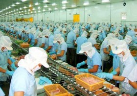 Pháp luật không bảo vệ người lao động… bất chính