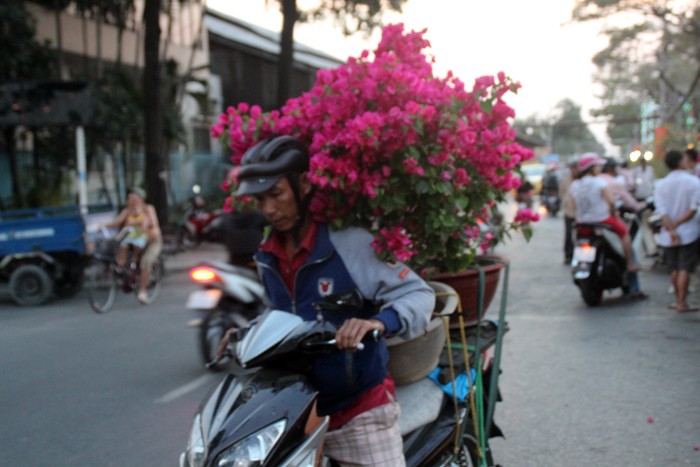 nhon nhip cho hoa tren ben duoi thuyen xuan binh than