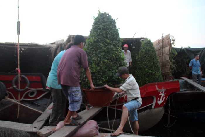 nhon nhip cho hoa tren ben duoi thuyen xuan binh than