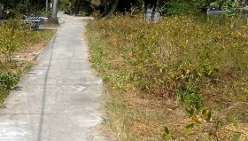 Cụ bà tử vong do cháu chạy xe “né” CSGT