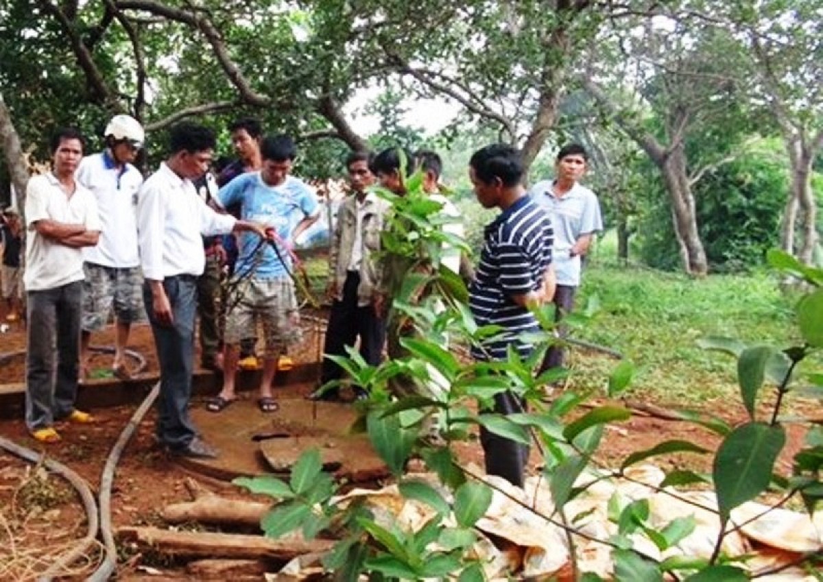 Giám định tâm thần người mẹ đẩy 2 con xuống giếng