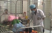 Ngộ độc vì ăn thịt chuột xào măng tre
