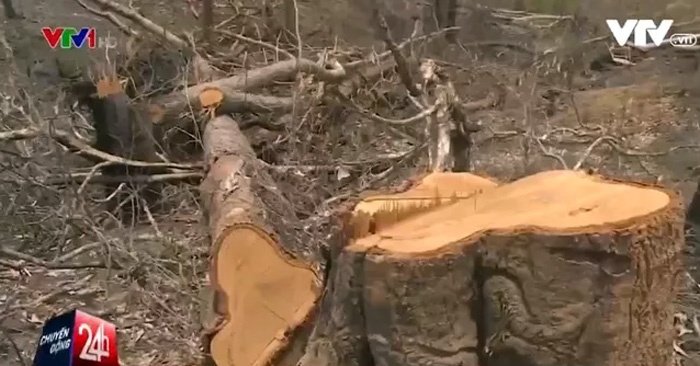 cong an tinh dak lak khong co tu nao noi rang la dan dung ca