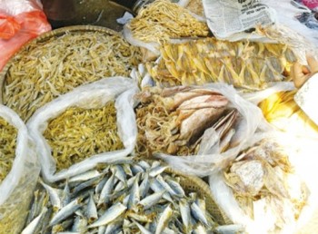 Bảo quản thực phẩm khô bằng chất diệt côn trùng?!