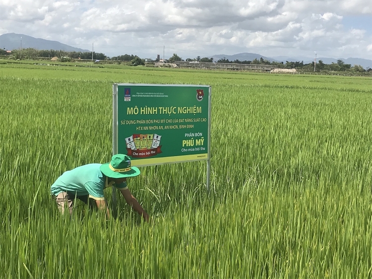 Tuổi trẻ PVFCCo trong công tác tái tạo văn hóa