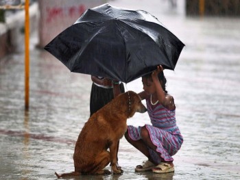 Ngày Quốc tế Hạnh phúc: 20 bức ảnh cảm động!