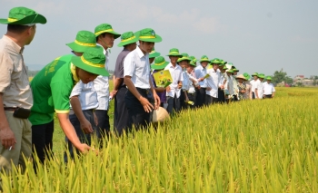 Tuổi 18 PVFCCo: Mùa hoa đẹp nhất!