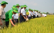 Tuổi 18 PVFCCo: Mùa hoa đẹp nhất!