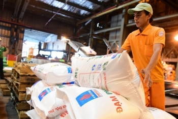 PVFCCo tiết giảm mạnh chi phí trong quý I/2019