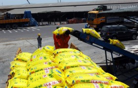 PVFCCo tăng cường nhập khẩu phân bón