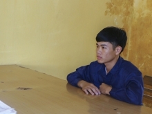 tien giang phat hien nhieu o dich ta lon chau phi