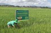 Đoàn Thanh niên PVFCCo: Sống tích cực và cống hiến