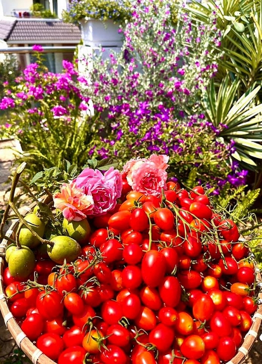 Ngắm “căn cứ địa chống dịch” của sao Việt? Ngắm