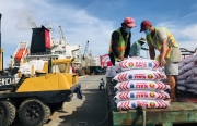 Phân bón Cà Mau nỗ lực cung ứng Kali Cà Mau chất lượng cao cho vụ hè thu 2021