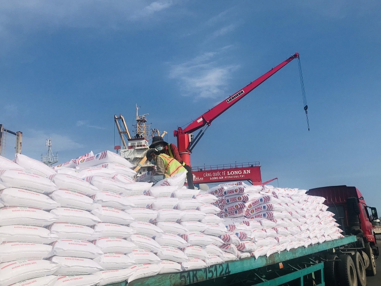 Phân bón Cà Mau nỗ lực cung ứng Kali Cà Mau chất lượng cao cho vụ hè thu 2021