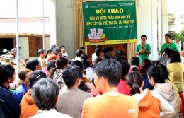 PVFCCo Central: Hội thảo trình diễn phân bón Phú Mỹ trên cây cà phê
