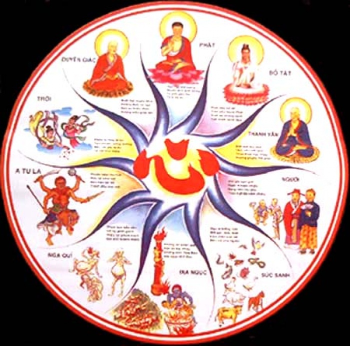 vai dieu co the ban chua hieu ro ve nghiep bao
