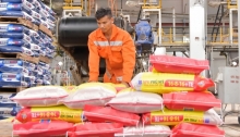 cong doan va nld pvfcco dong hanh cung doanh nghiep vuot kho