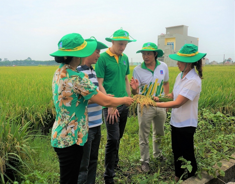 chum anh phan bon phu my duoc ba con tin dung