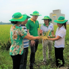 chum anh san xuat phan bon phu my