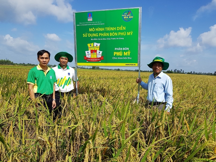 su dung phan bon phu my tren cay oi va cay lua mang lai hieu qua cao