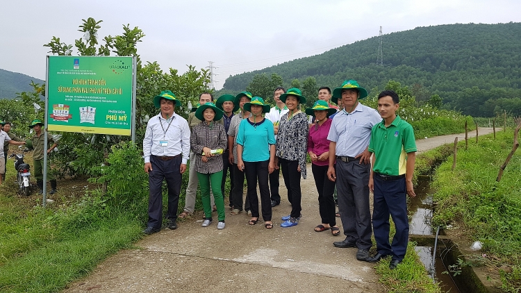 su dung phan bon phu my tren cay oi va cay lua mang lai hieu qua cao