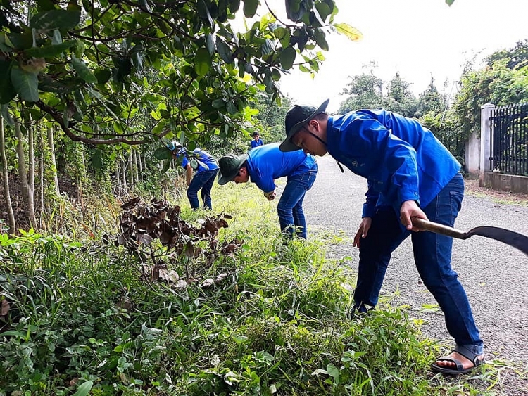 chum anh dau an chien dich mua he xanh 2019 cua tuoi tre dau khi