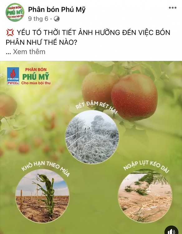 PVFCCo: Vị thế dẫn đầu trong lĩnh vực phân bón, hóa chất dầu khí