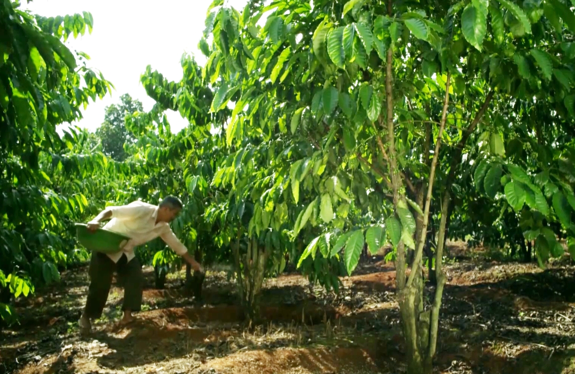 Bao giờ sửa Luật thuế GTGT về phân bón để nông dân và doanh nghiệp được nhờ?