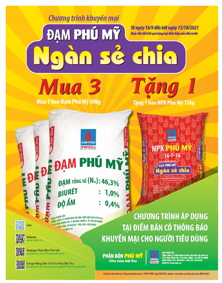Kỷ niệm 17 năm Ngày truyền thống PVFCCo