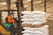 Kỷ niệm 17 năm Ngày truyền thống PVFCCo