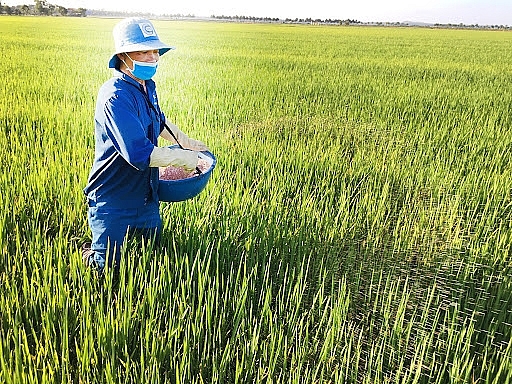 Thế khó của doanh nghiệp sản xuất phân bón trong nước