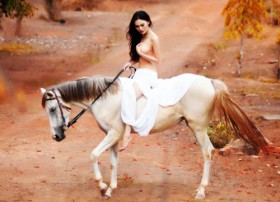 Người đẹp thi “chui” bị phạt 22,5 triệu đồng